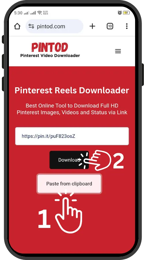 Paste the Link - Pinterest Reel Downloader