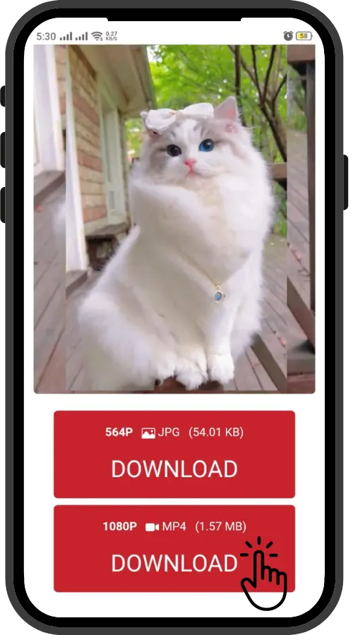 Download the Reel - Pinterest Reel Downloader